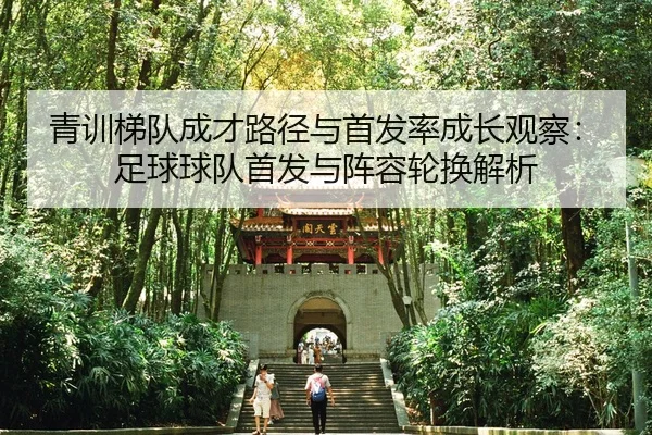 qing-xun-ti-dui-cheng-cai-lu-jing-yu-shou-fa-lv-cheng-zhang-guan-cha-zu-qiu-qiu-dui-shou-fa-yu-zhen-rong-lun-huan-jie-xi-2-476.jpg
